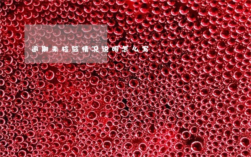 逾期未检验情况说明怎么写