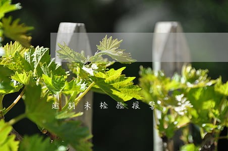 逾期未检验报警 逾期未检验报警