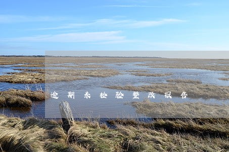 逾期未检验整改报告 逾期未检验整改报告