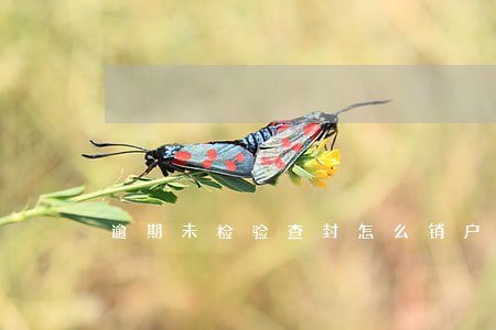 逾期未检验查封怎么销户车辆 逾期未检验查封怎么销户车辆