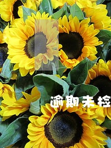 逾期未检验查获时间 逾期未检验查获时间