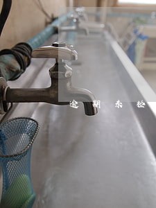 逾期未检验注销 逾期未检验注销