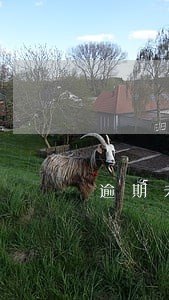逾期未检验注销是不是销户了 逾期未检验注销是不是销户了