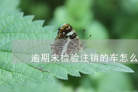 逾期未检验注销的车怎么处理 逾期未检验注销的车怎么处理