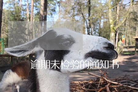 逾期未检验的通知书 逾期未检验的通知书