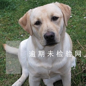 逾期未检验网上还能申请吗 逾期未检验网上还能申请吗