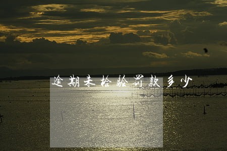 逾期未检验罚款多少 逾期未检验罚款多少