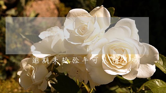 逾期未检验车可以销户吗 逾期未检验车可以销户吗