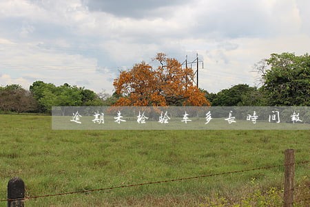 逾期未检验车多长时间报废 逾期未检验车多长时间报废