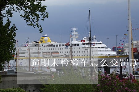 逾期未检验车怎么交罚款 逾期未检验车怎么交罚款