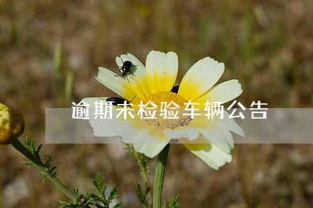 逾期未检验车辆公告 逾期未检验车辆公告