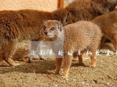 逾期未检验车辆发生事故的后果 逾期未检验车辆发生事故的后果