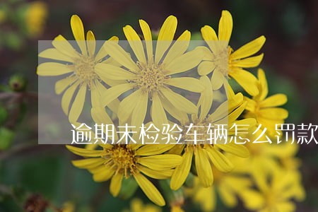 逾期未检验车辆怎么罚款 逾期未检验车辆怎么罚款