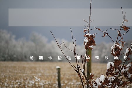 逾期未检验车辆整改通知书 逾期未检验车辆整改通知书