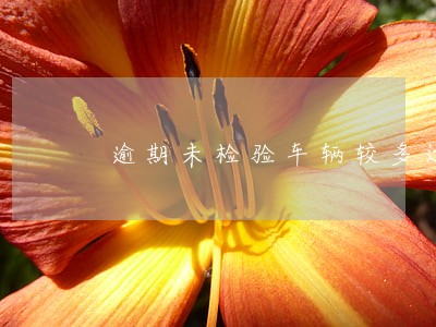 逾期未检验车辆较多运输企业 逾期未检验车辆较多运输企业