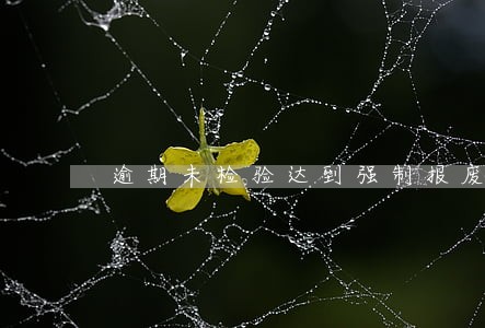 逾期未检验达到强制报废标准 逾期未检验达到强制报废标准
