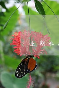 逾期未检验达到报废标准公告 逾期未检验达到报废标准公告