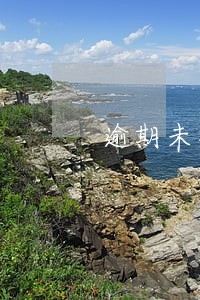 逾期未检验达到标报废标准 逾期未检验达到标报废标准