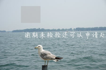 逾期未检验还可以申请处理吗 逾期未检验还可以申请处理吗