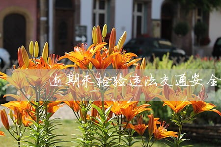逾期未检验违法交通安全法代码 逾期未检验违法交通安全法代码