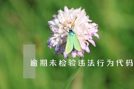 逾期未检验违法行为代码 逾期未检验违法行为代码
