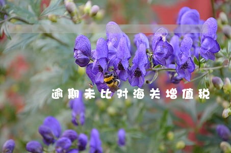 逾期未比对海关增值税 逾期未比对海关增值税