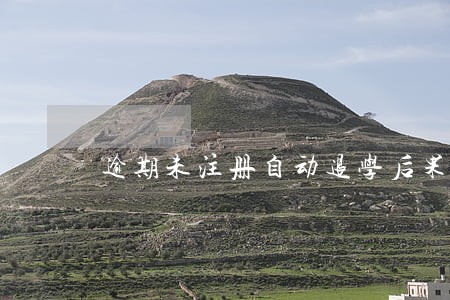 逾期未注册自动退学后果 逾期未注册自动退学后果