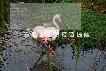 逾期未注射疫苗提醒 逾期未注射疫苗提醒
