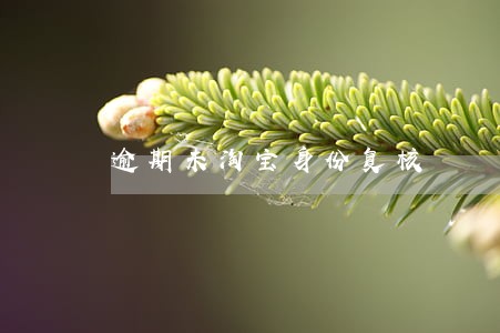 逾期未淘宝身份复核 逾期未淘宝身份复核