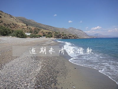 逾期未清偿借款 逾期未清偿借款