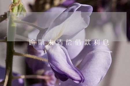 逾期未清偿借款利息 逾期未清偿借款利息