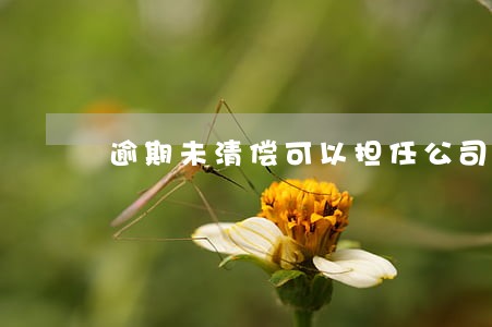 逾期未清偿可以担任公司法人吗 逾期未清偿可以担任公司法人吗