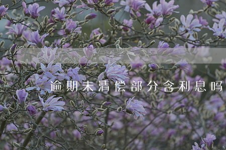 逾期未清偿部分含利息吗