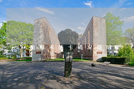 逾期未清卡情况说明 逾期未清卡情况说明