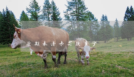 逾期未清卡罚款多少 逾期未清卡罚款多少