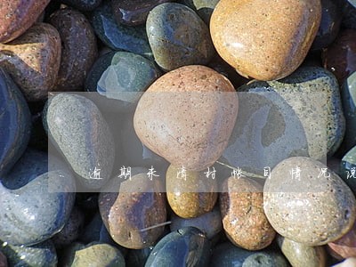 逾期未清村帐目情况说明 逾期未清村帐目情况说明