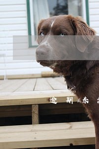 逾期未满90日银行征信显示3 逾期未满90日银行征信显示3