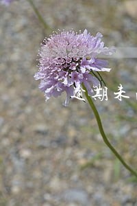 逾期未满三个月能房贷么 逾期未满三个月能房贷么