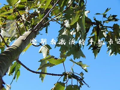 逾期未激活的手机卡还能用吗 逾期未激活的手机卡还能用吗