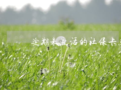 逾期未激活的社保卡怎么重新激活 逾期未激活的社保卡怎么重新激活