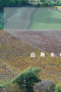 逾期未申报一事不二罚 逾期未申报一事不二罚