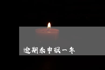 逾期未申报一年 逾期未申报一年