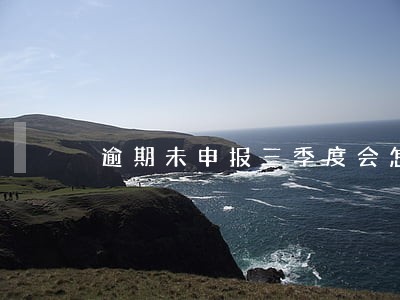 逾期未申报三季度会怎样 逾期未申报三季度会怎样