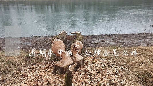 逾期未申报不处理会怎么样 逾期未申报不处理会怎么样