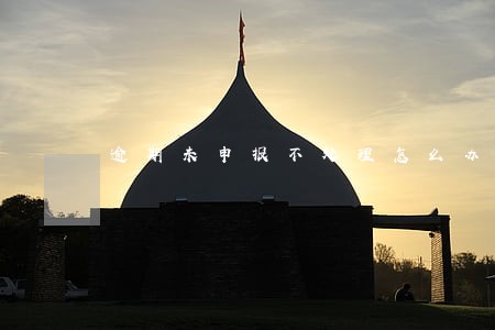 逾期未申报不处理怎么办 逾期未申报不处理怎么办