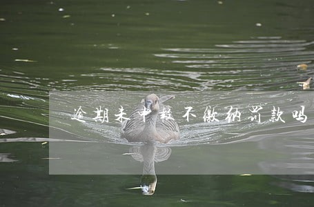 逾期未申报不缴纳罚款吗 逾期未申报不缴纳罚款吗