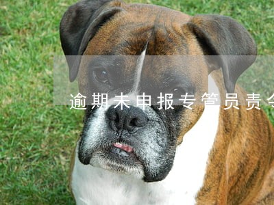 逾期未申报专管员责令书 逾期未申报专管员责令书