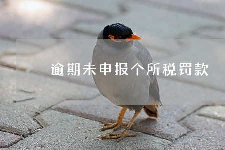 逾期未申报个所税罚款