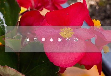 逾期未申报个税 逾期未申报个税
