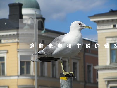 逾期未申报个税的情况说明 逾期未申报个税的情况说明